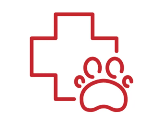 Medical, dental, vision, and FSA coverage icon Medical, dental, vision, and FSA coverage icon