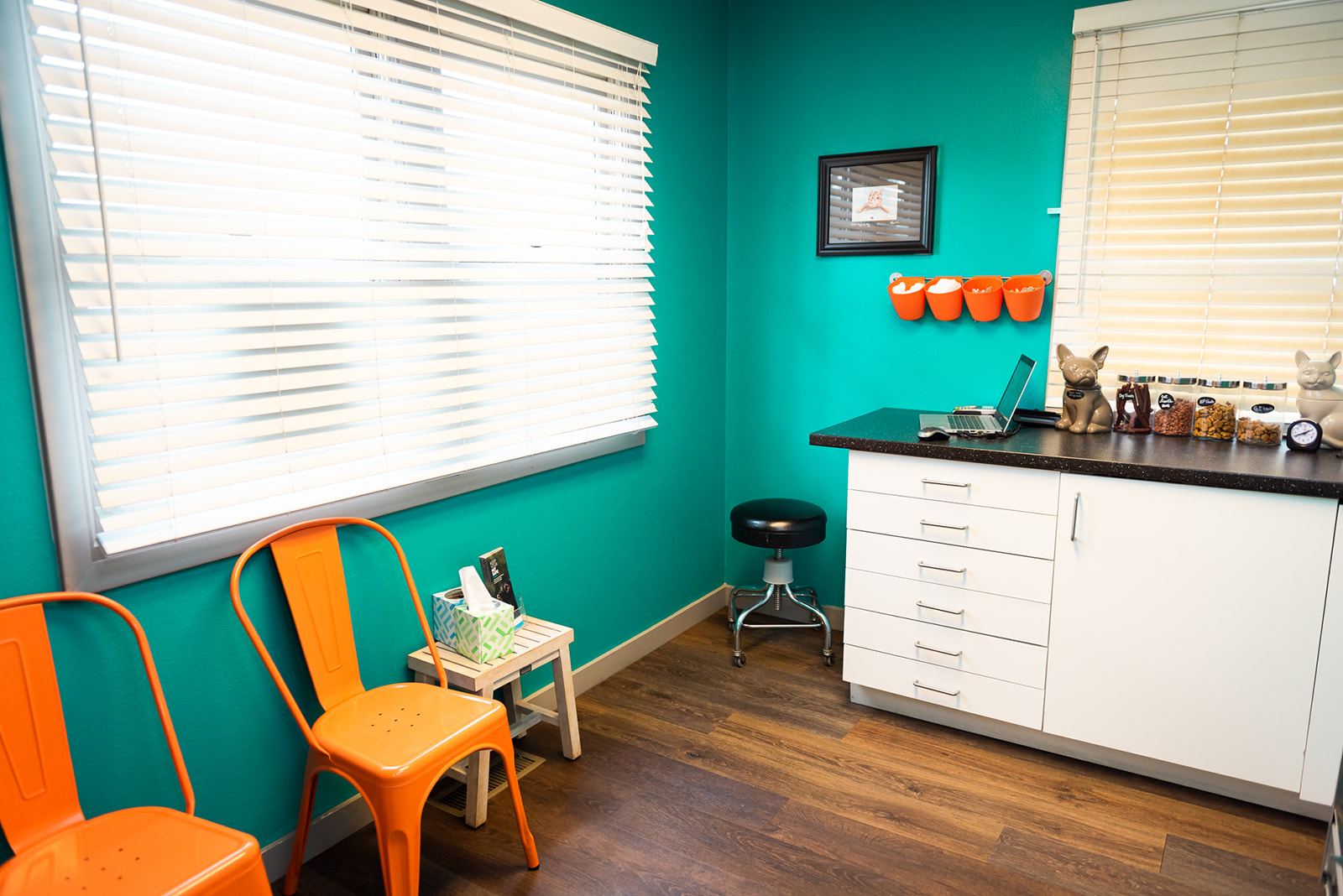 Waiting area with orange seating and barn doors at The Valley Veterinary Hospital
