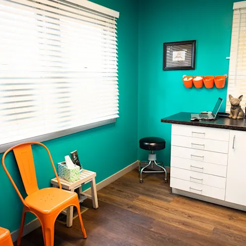Waiting area with orange seating and barn doors at The Valley Veterinary Hospital Waiting area with orange seating and barn doors at The Valley Veterinary Hospital