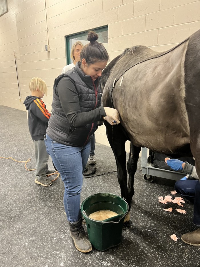 Intern with horse