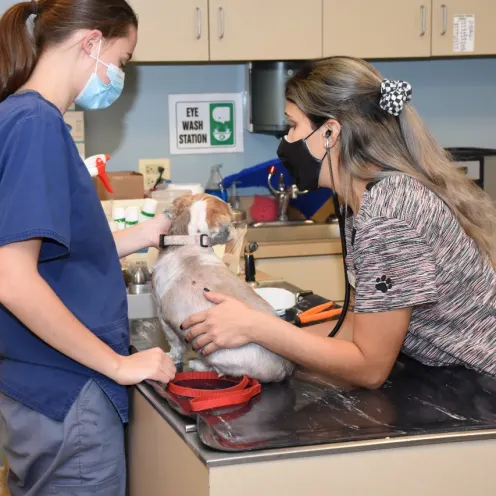  Jess, a technician, taking vital signs on a patient while Paige holds the patient.