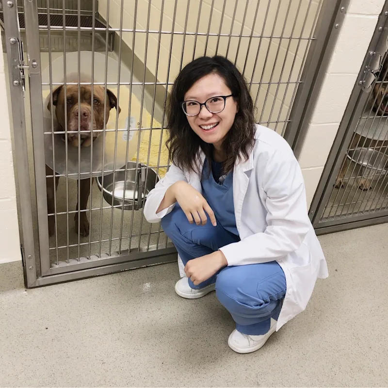 Dr. Yingxi Zhang Dr. Yingxi Zhang