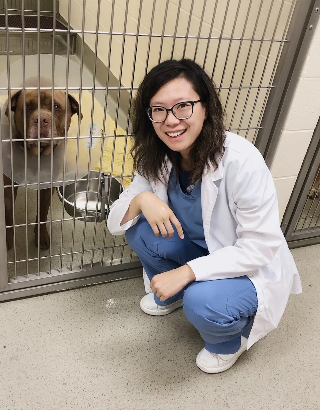 Dr. Yingxi Zhang Dr. Yingxi Zhang