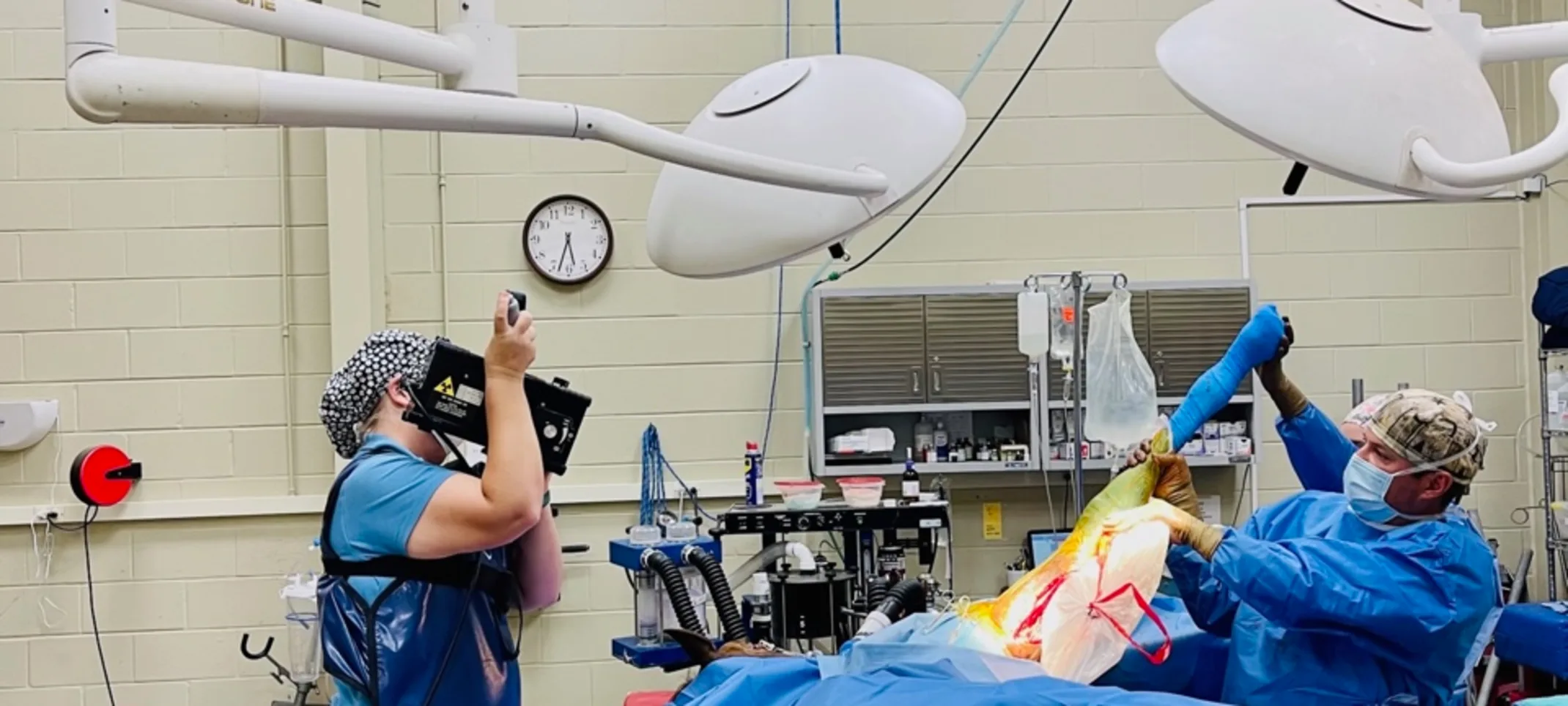 Staff at Pine Ridge performing surgery on a horse Staff at Pine Ridge performing surgery on a horse