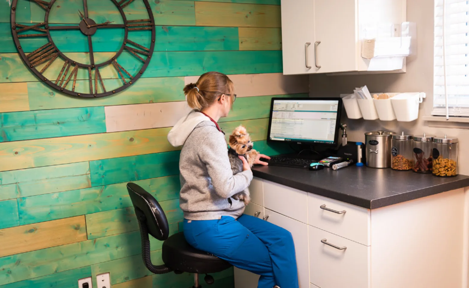 Veterinarian with dog at The Valley Veterinary Hospital Veterinarian with dog at The Valley Veterinary Hospital