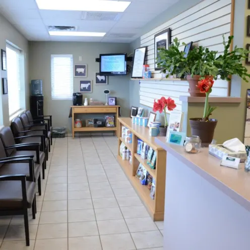 Peotone Animal Hospital Waiting Room Area where you can sit down in comfy seats and there's a tv mounted on a wall, and there are pet supplies for you to purchase and there's purified water to drink in the corner of the room