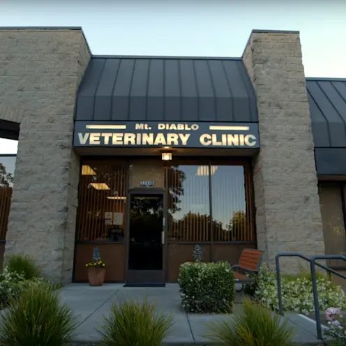 Mt. Diablo Veterinary Medical Center Exterior Mt. Diablo Veterinary Medical Center Exterior