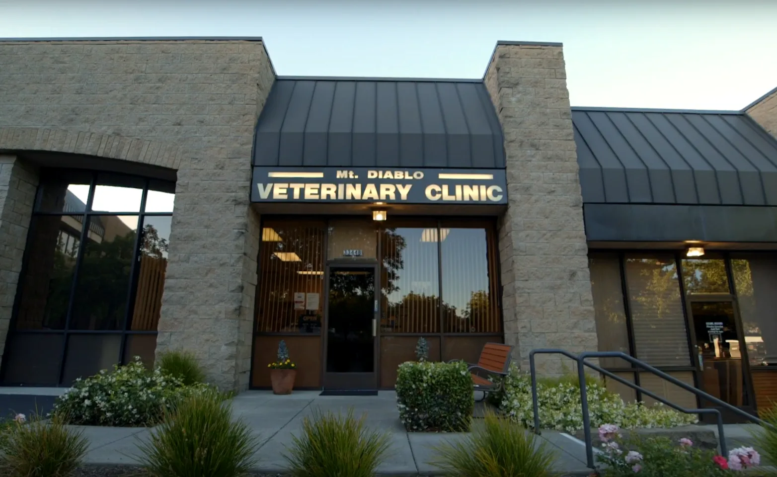 Mt. Diablo Veterinary Medical Center Exterior