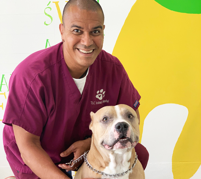 Veterinarian in Boca Raton, FL | TLC Animal Hospital
