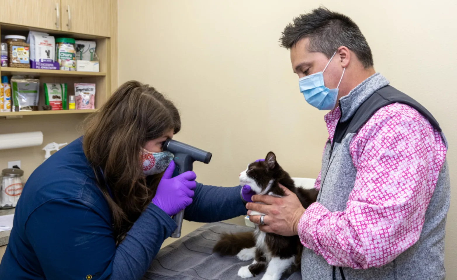 Doctors examine Cat