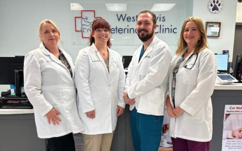 Veterinarians at West Davis Veterinary Hospital.