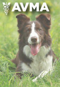  Dog in Grass with Logo