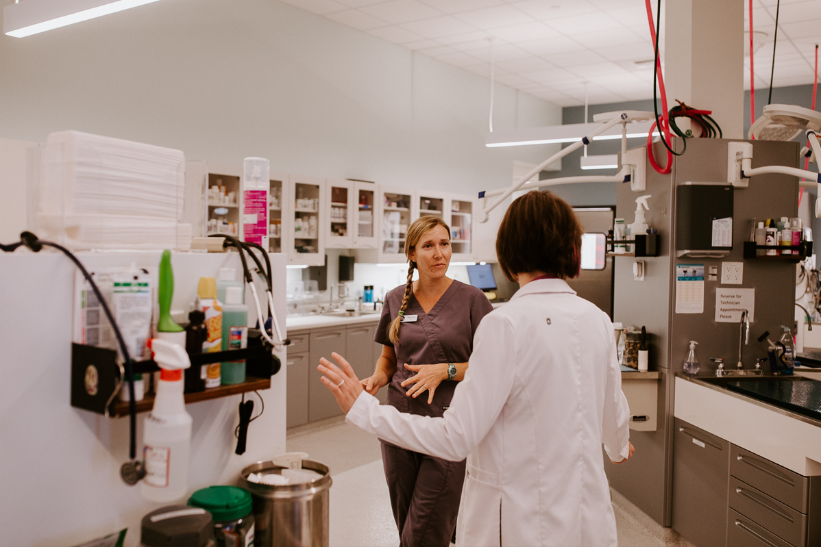 Frontier Village Veterinary Clinic staff members talking in the exam area