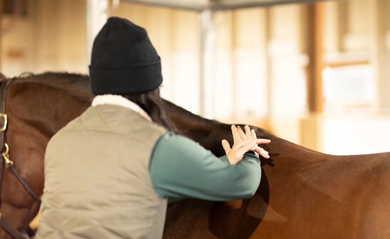 Dr. Melissa Sim doing a chiropractic adjustment on a horse Dr. Melissa Sim doing a chiropractic adjustment on a horse
