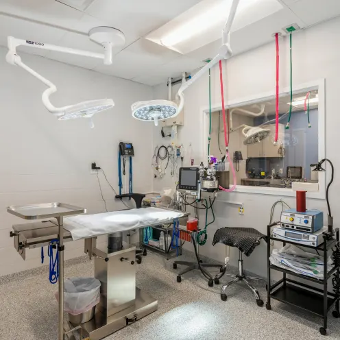 Kirkman Road Veterinary Clinic Surgery Room