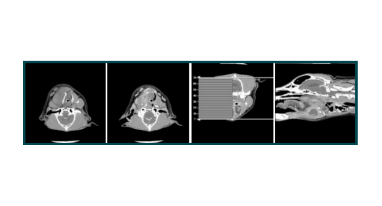 Cato Case Study Diagnostic Imaging