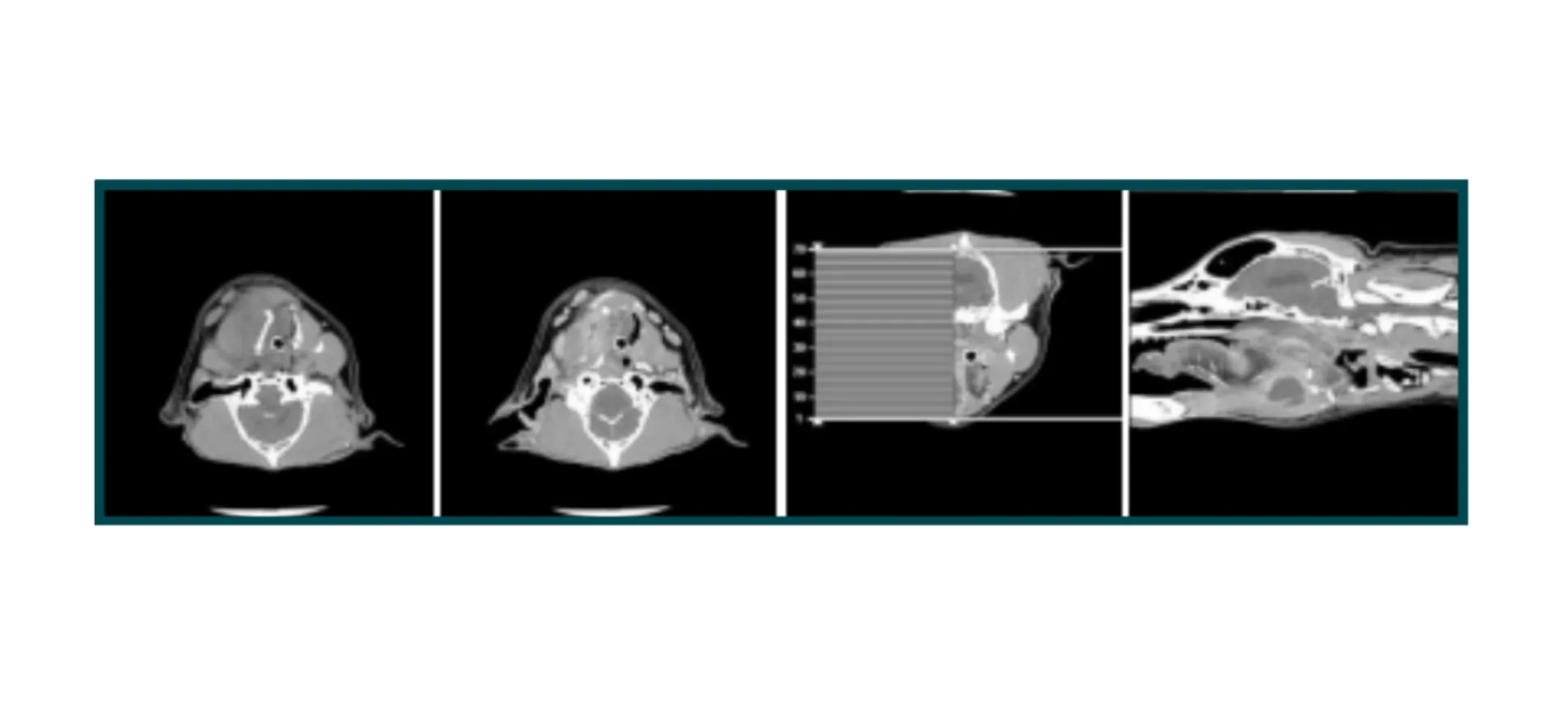 Cato Case Study Diagnostic Imaging Cato Case Study Diagnostic Imaging