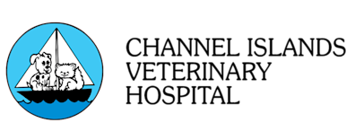 Channel Islands Veterinary Hospital Logo