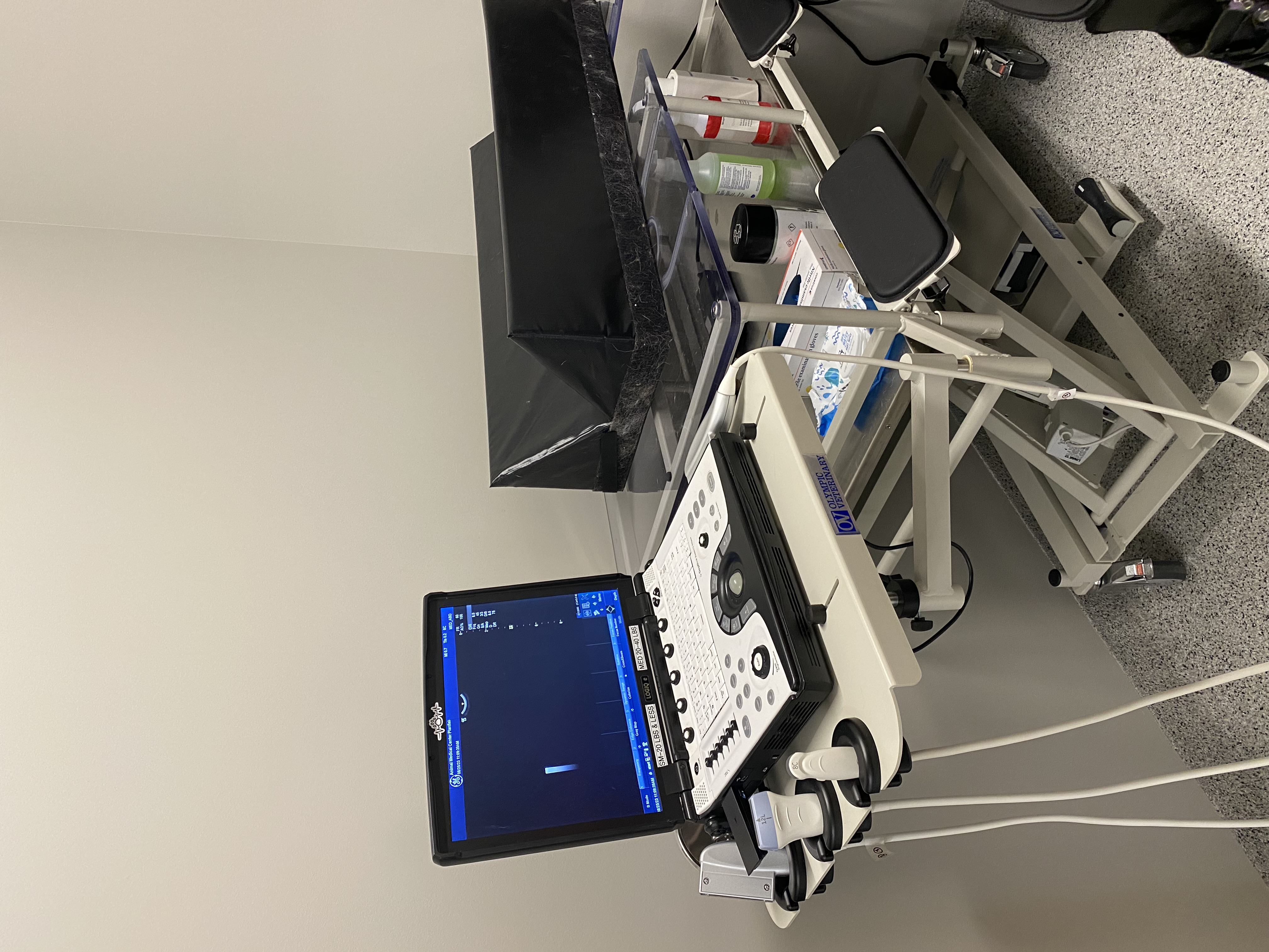Diagnostic ultrasound equipment at Animal Medical Center of Plainfield