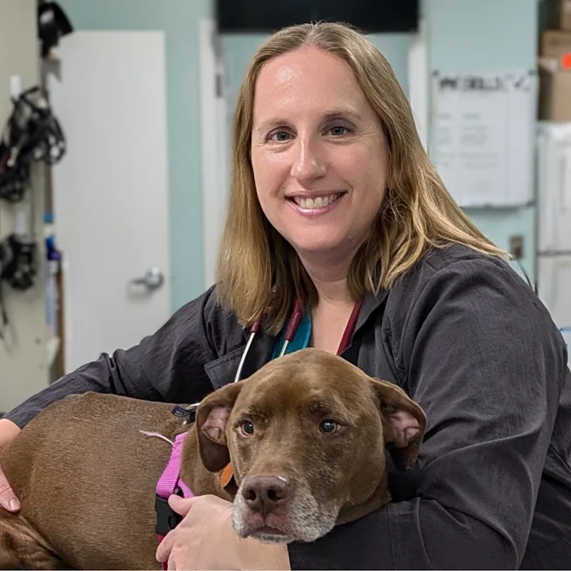 Dr. Meredith Berry Dr. Meredith Berry