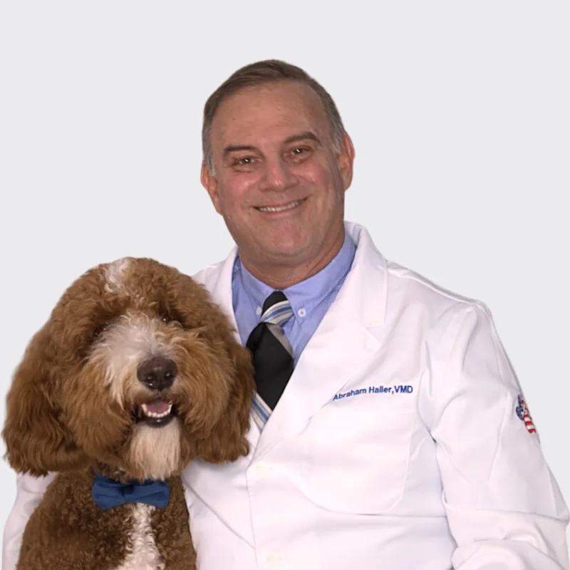 Dr. Abraham Haller Dr. Abraham Haller