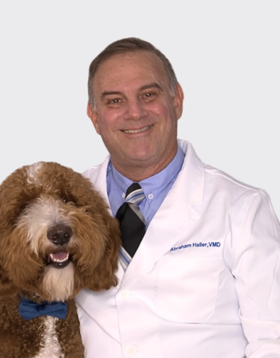 Dr. Abraham Haller Dr. Abraham Haller