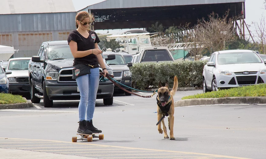 Trainer on a skateboard with a dog