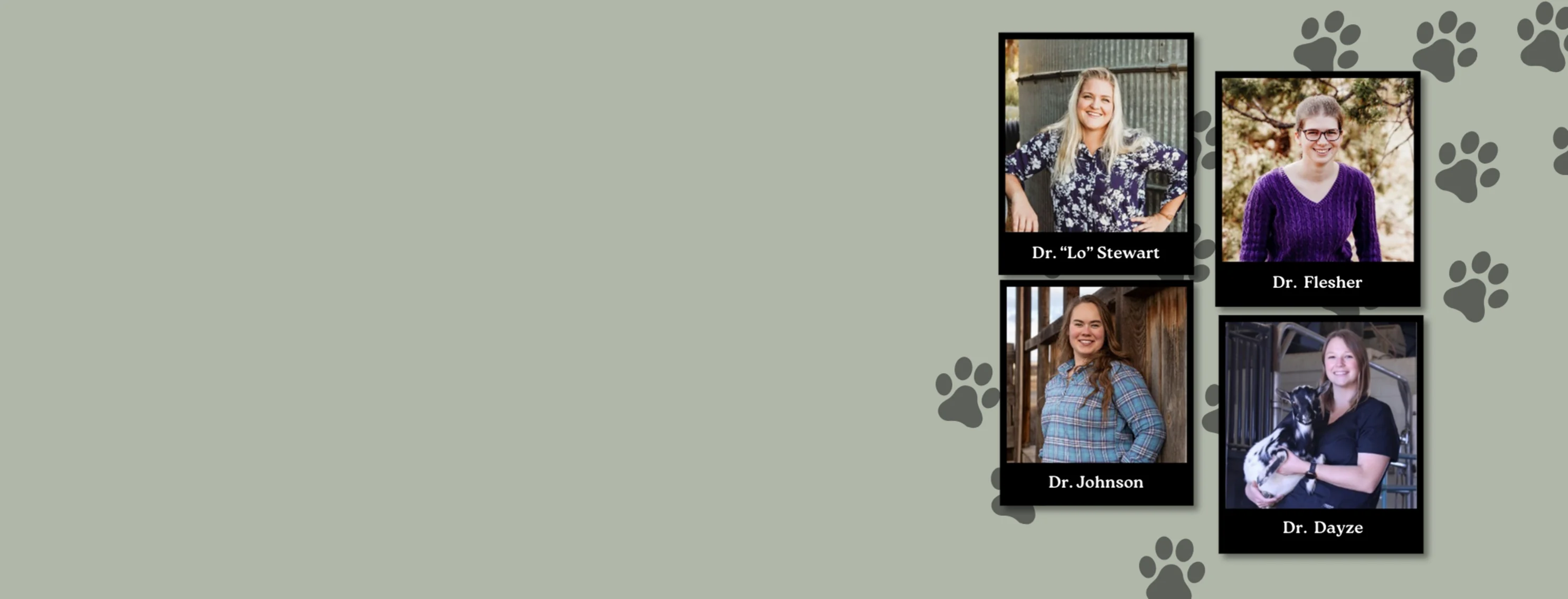 Our Veterinary Doctors Our Veterinary Doctors