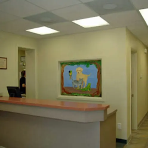A desk at Galveston Veterinary Clinic.