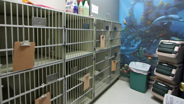 Apple Tree Cove Animal Hospital Boarding