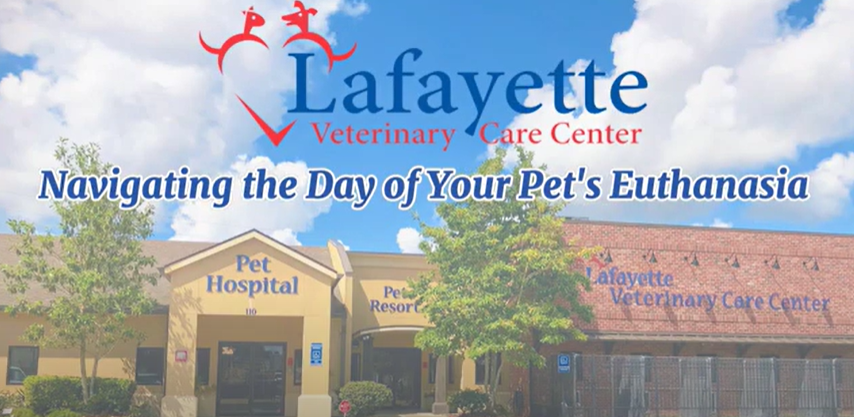 Navigating the Day of Your Pet's Euthanasia Video Thumbnail