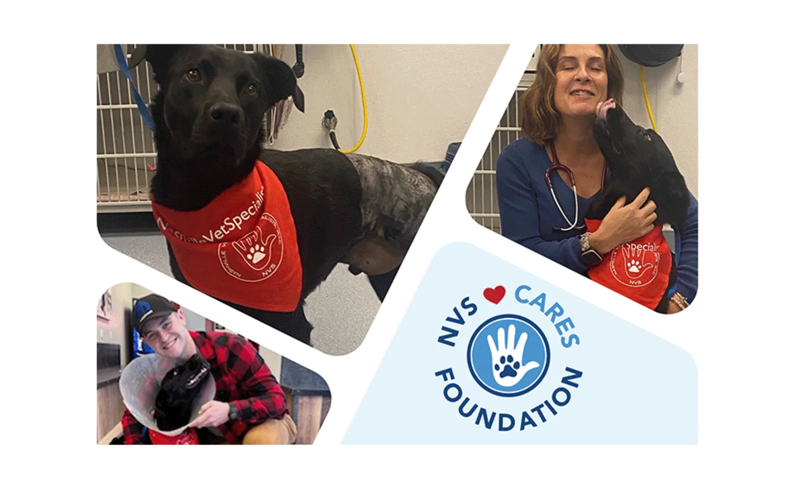 Photo collage of dogs and staff Photo collage of dogs and staff