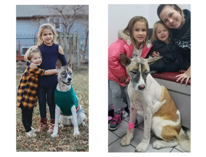 collage of Maggie the patient collage of Maggie the patient