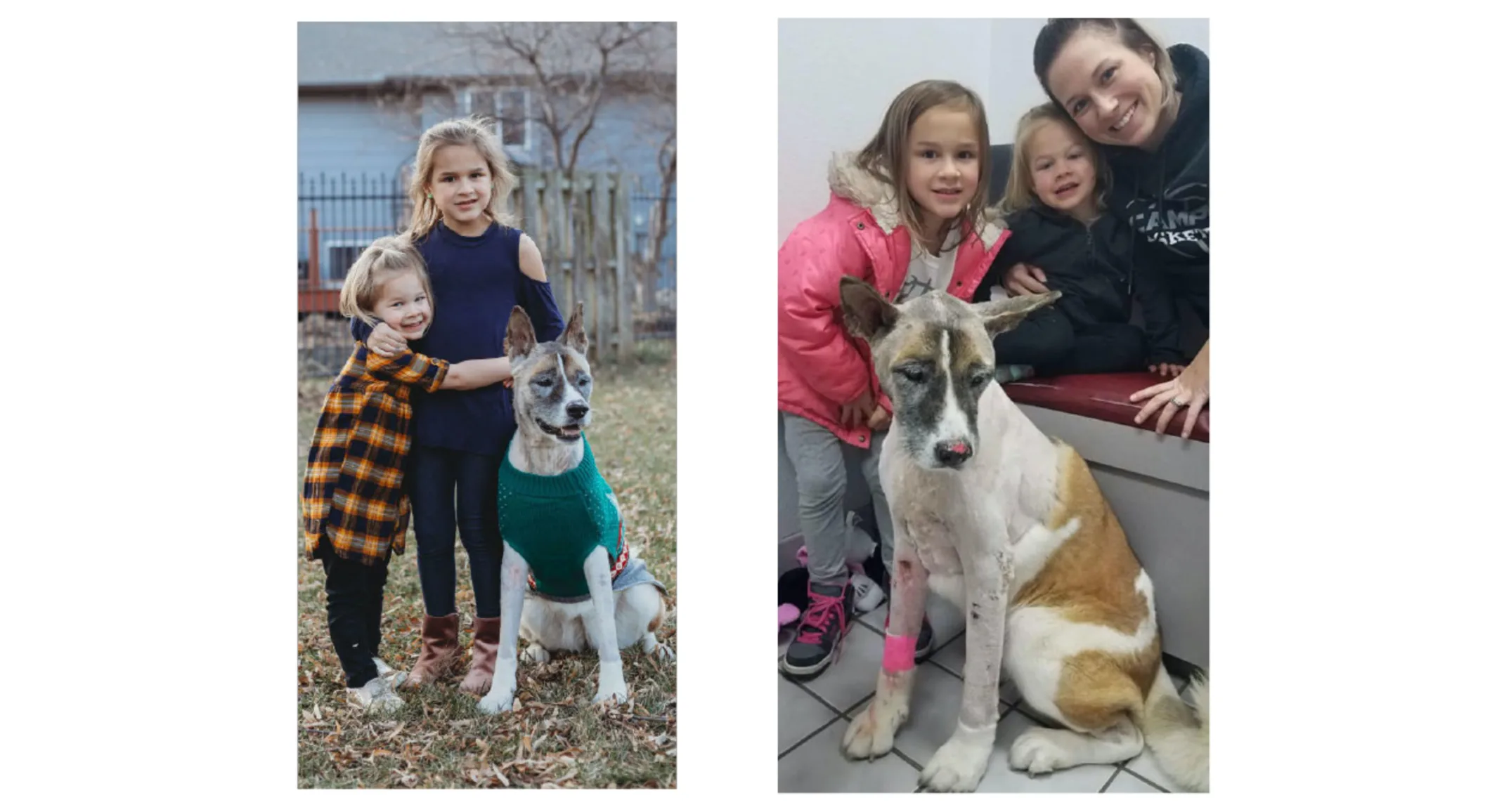 collage of Maggie the patient collage of Maggie the patient