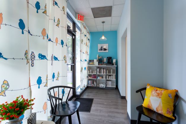 Plantation Animal Hospital of Tampa Waiting Area with Refreshments