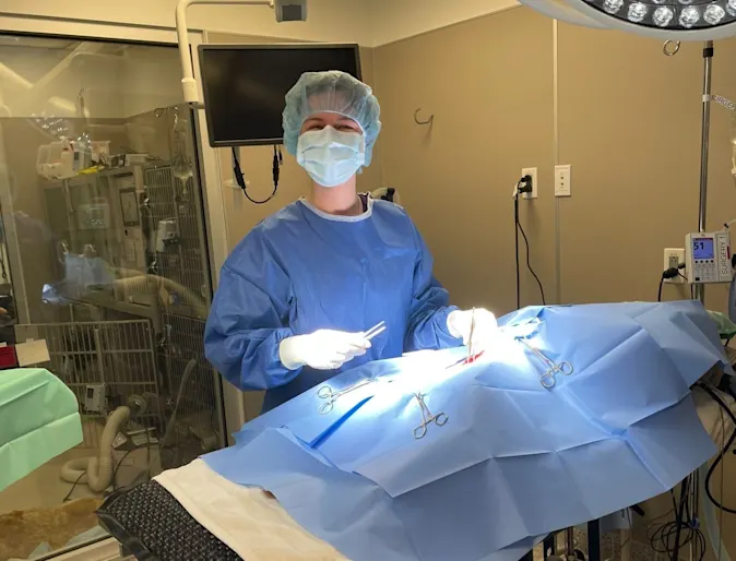 DVM in surgery DVM in surgery