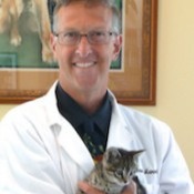 Dr. David Mannes