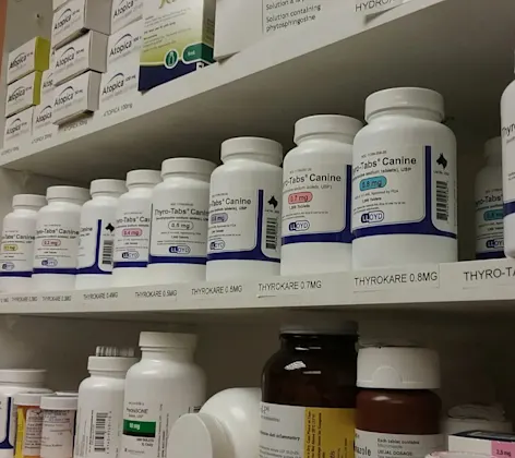 Pharmacy Pharmacy
