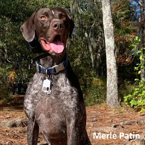 Merle Patin Merle Patin