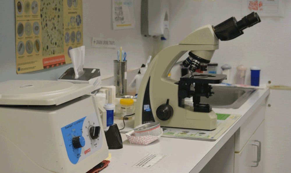 microscope at Hidden Valley Animal Hospital