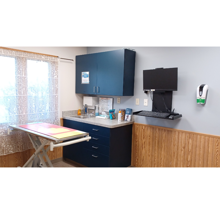 Sandwich Veterinary Hospital Examination Room