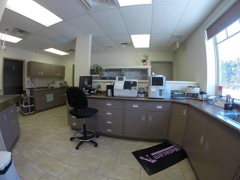 Work/Equipment Area at Huntsville Animal Hospital