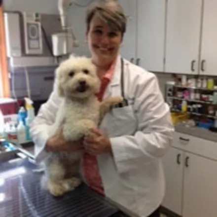 Dr. Heather Trout, veterinarian at New Baltimore Animal Hospital in Warrenton, VA