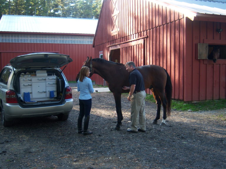 People standing next to horse