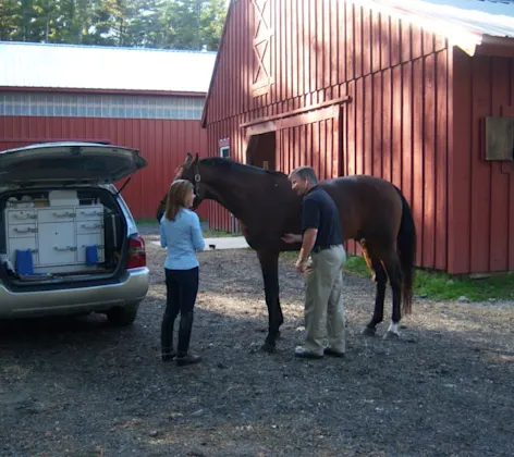 People standing next to horse People standing next to horse