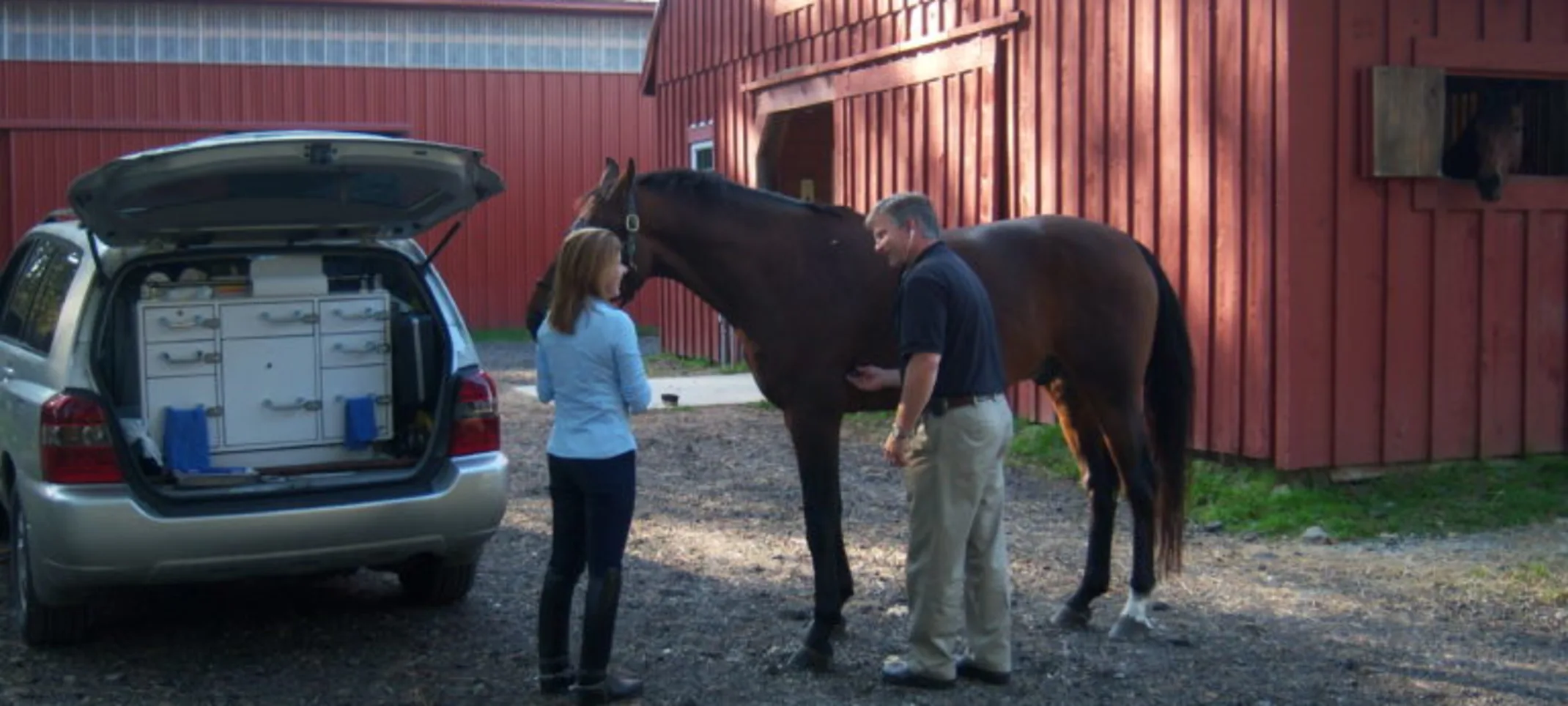 People standing next to horse People standing next to horse