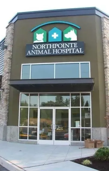 union animal hospital spokane wa