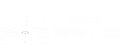Acoaxet Veterinary Clinic Logo Acoaxet Veterinary Clinic Logo