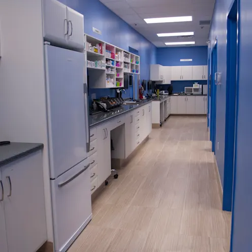 pharmacy lab pharmacy lab