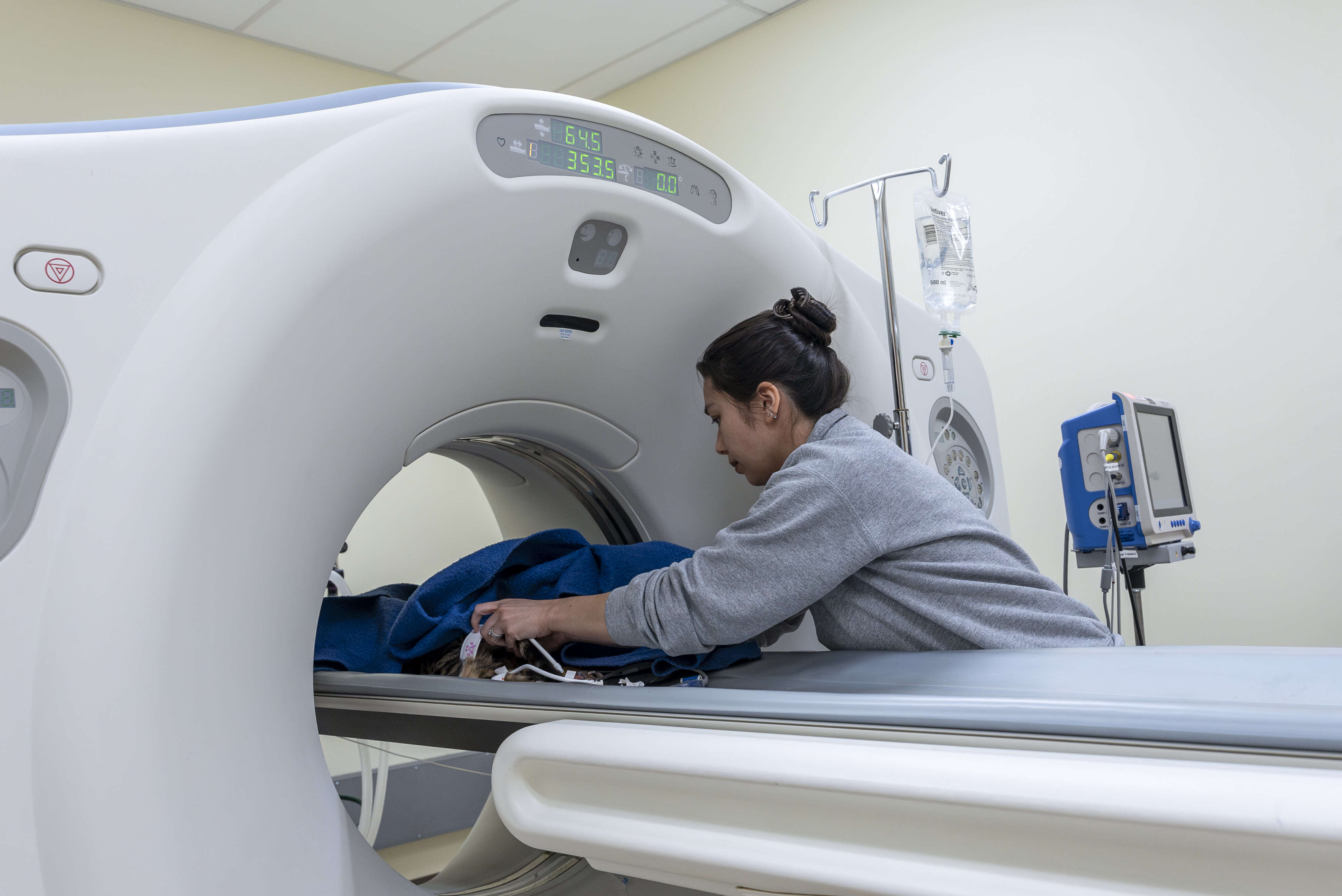 A cat being put under the MRI Machine at SAGE Veterinary Centers